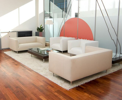 商务办公沙发-TSS150